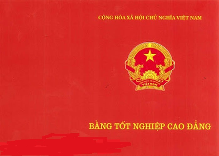 làm bằng giả cao đẳng